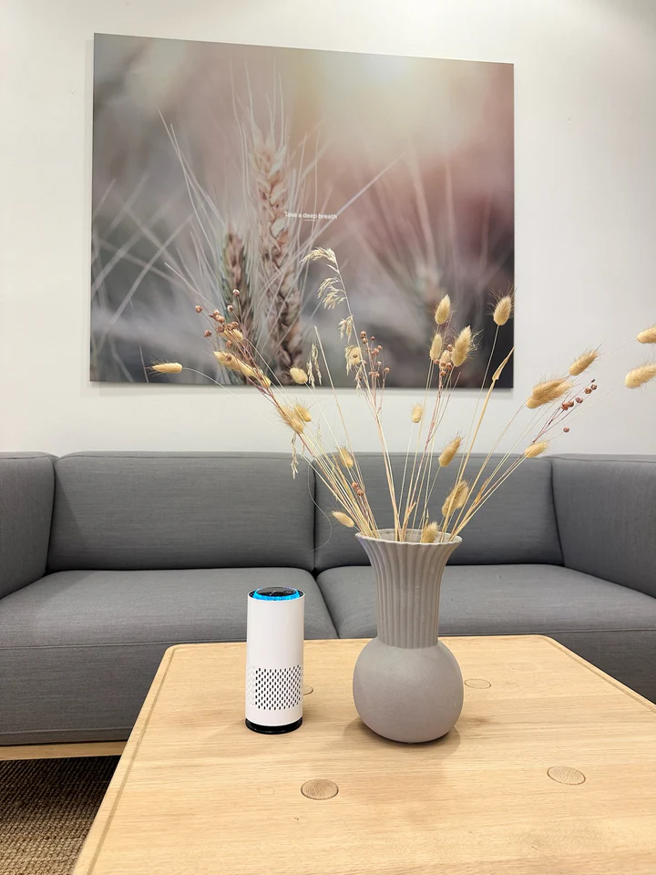 AeroPure™ – Fortschrittlicher kabelloser Luftreiniger