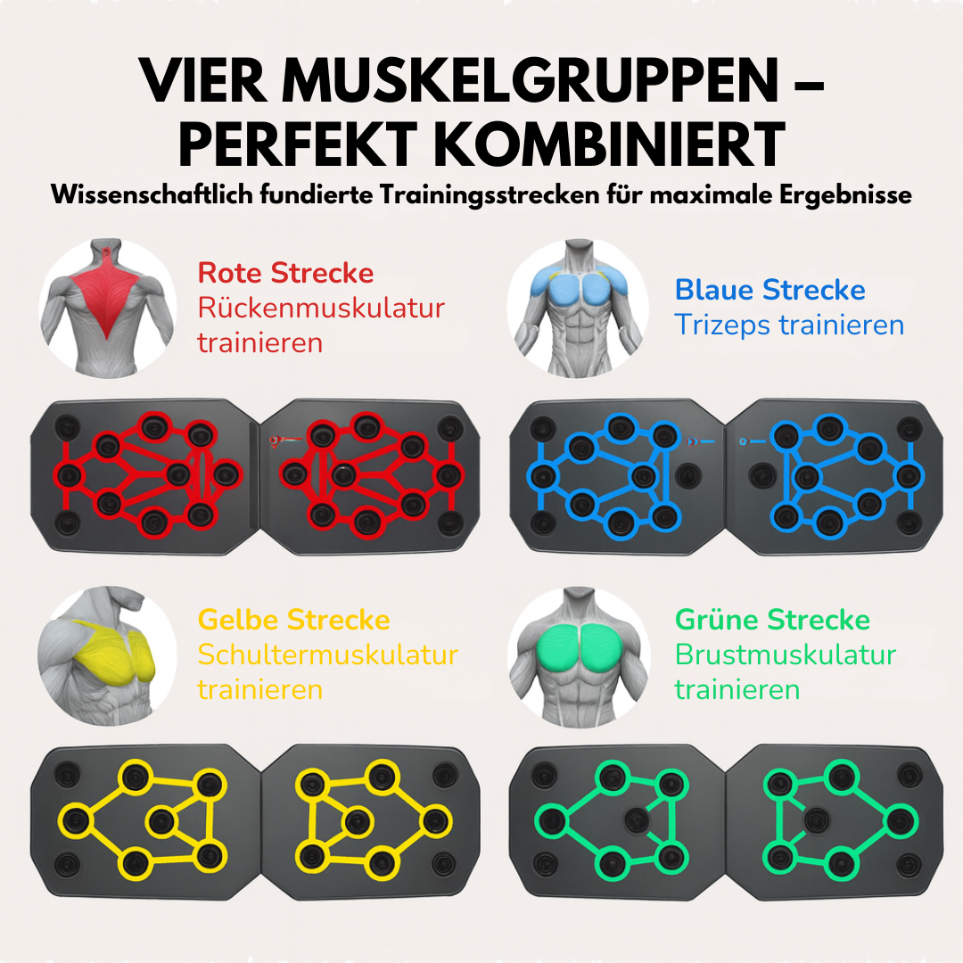 FitForge™ Push-Up Board | Multi-Grip Push-Up-Brett für Muskelaufbau