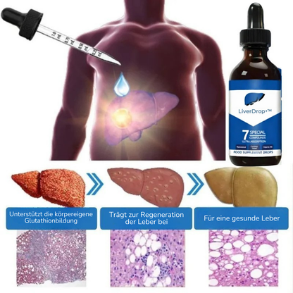 LiverDrop+™ | Unterstütze deine Leber und fühle dich besser