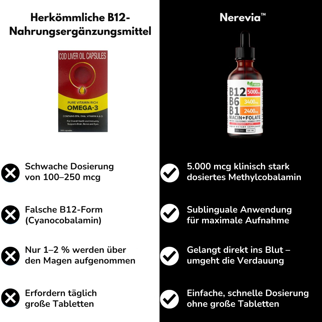 Nerevia™ – B12-Diätpräparat zur Unterstützung von Gehirn und Konzentration